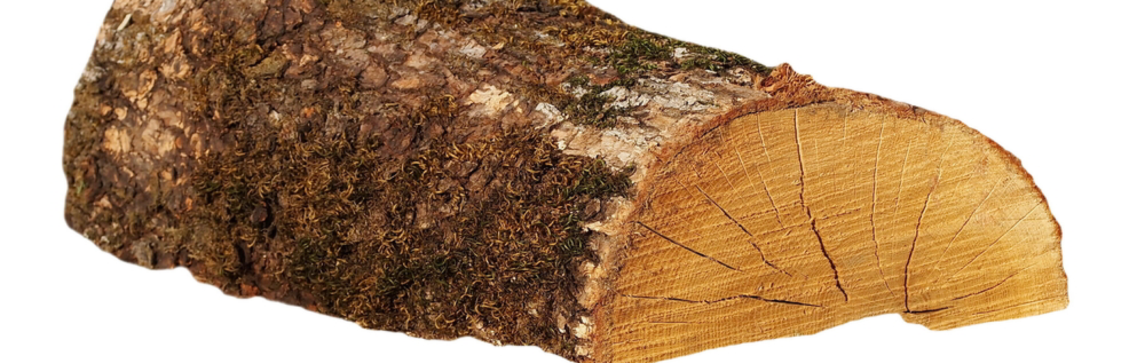 Choosing Wood for Your Project